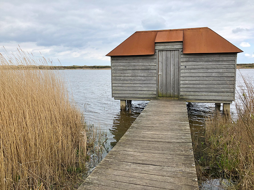 vogeluitkijk ameland