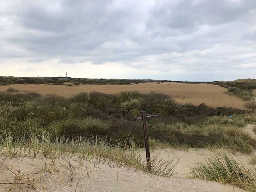 wandelen ameland tips